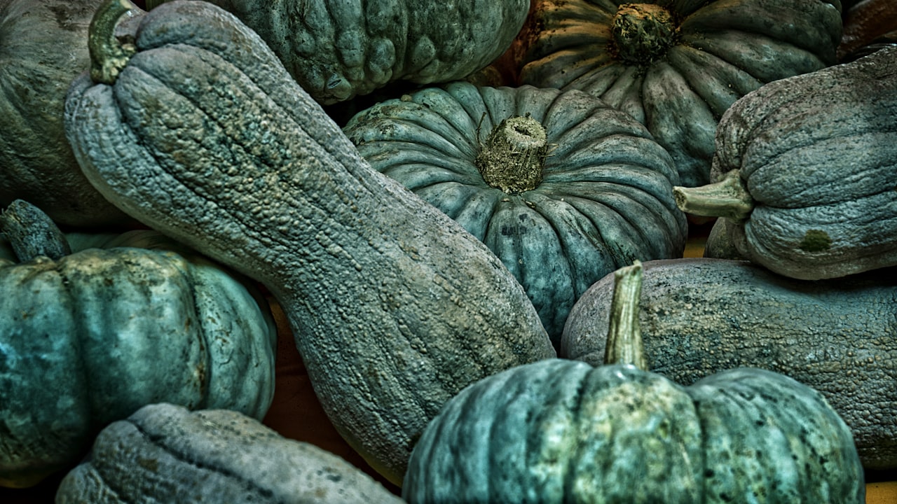 The Ultimate Secret Features You Should Know About PC GamePad